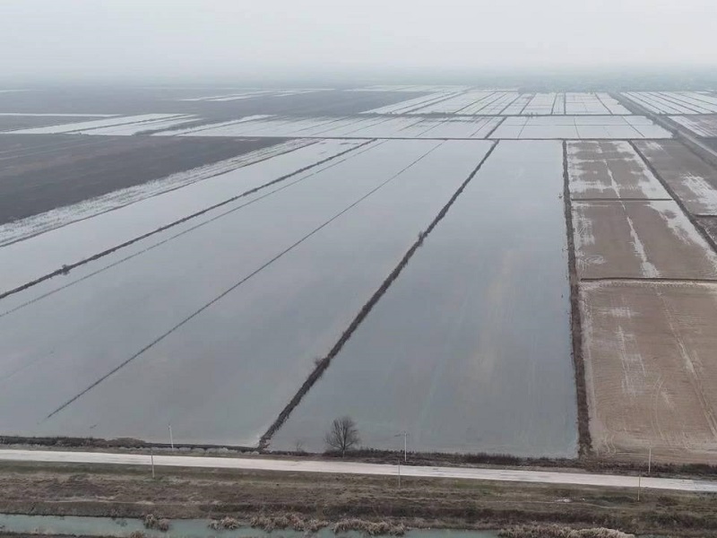 На 100 тыс гектарах промывают почву в Туркестанской области