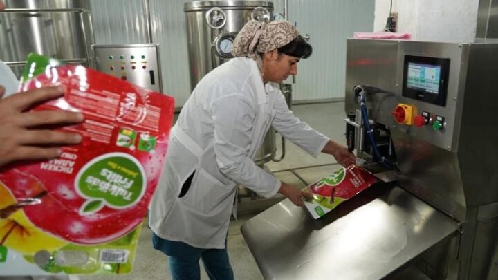 30 тонн яблок в сутки перерабатывают на новом заводе в Туркестанской области