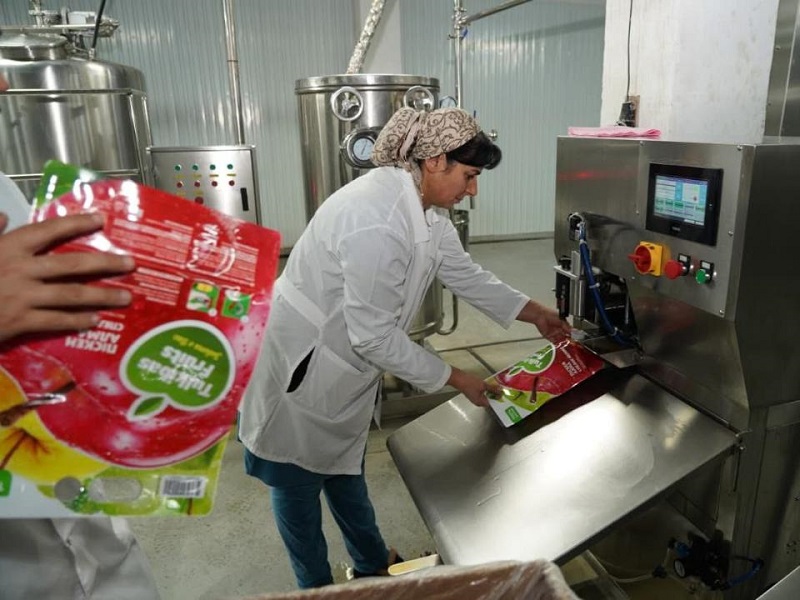 30 тонн яблок в сутки перерабатывают на новом заводе в Туркестанской области