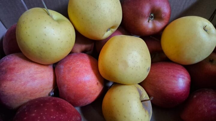 Новый список, новые цены в перечне социально значимых продуктов в Казахстане