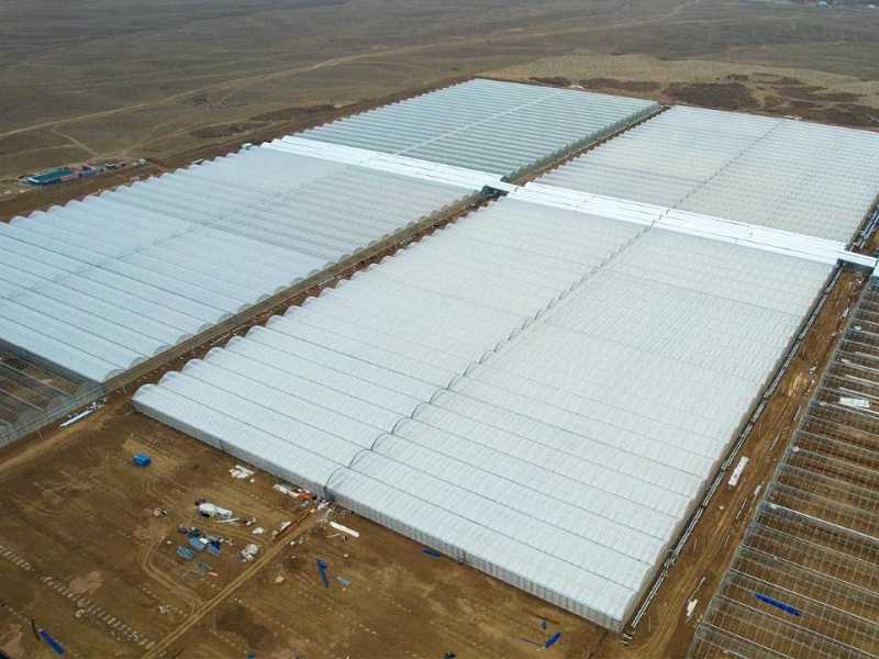 42 млрд тенге планирует вложить инвестор в новую теплицу в Туркестанской области