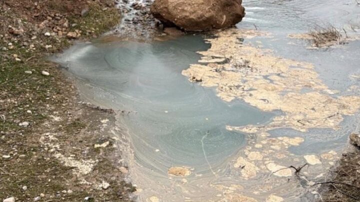 Серную кислоту обнаружили в сливе воды, которая погубила рыбу в Бадаме