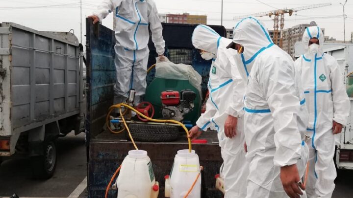 Скверы и улицы Шымкента начали обрабатывать от комаров