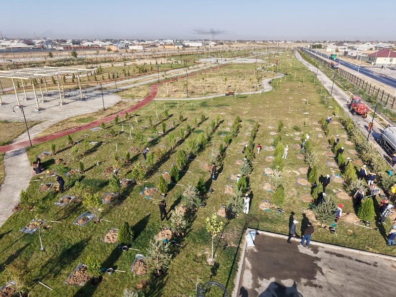 Миллион саженцев в этом году высадят в Туркестанской области