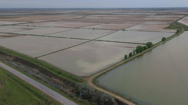 400 млн кубометров воды ушло на промывку почвы в Туркестанской области