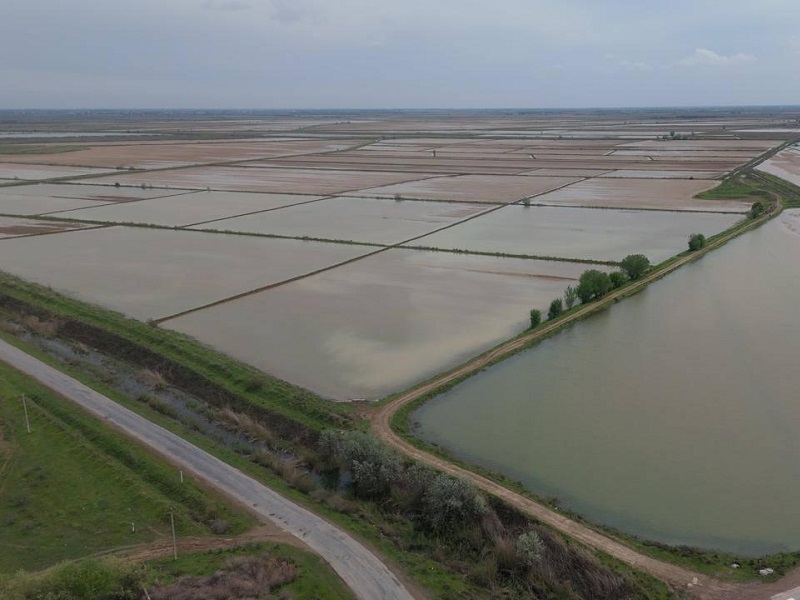 400 млн кубометров воды ушло на промывку почвы в Туркестанской области