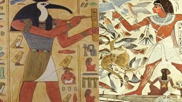 На курс по истории искусства приглашают всех желающих