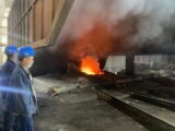 Сотни миллионов тенге потерял завод китайских инвесторов после визита силовиков