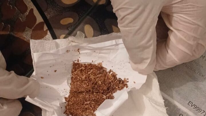 В Атырау служебная собака пресекла попытку провоза наркотиков в колонию