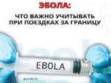 ВОЗ ввела чрезвычайное положение из-за вспышки Эболы