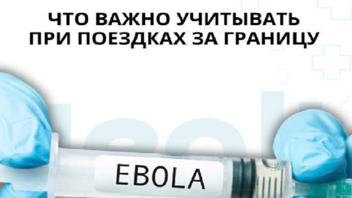 ВОЗ ввела чрезвычайное положение из-за вспышки Эболы