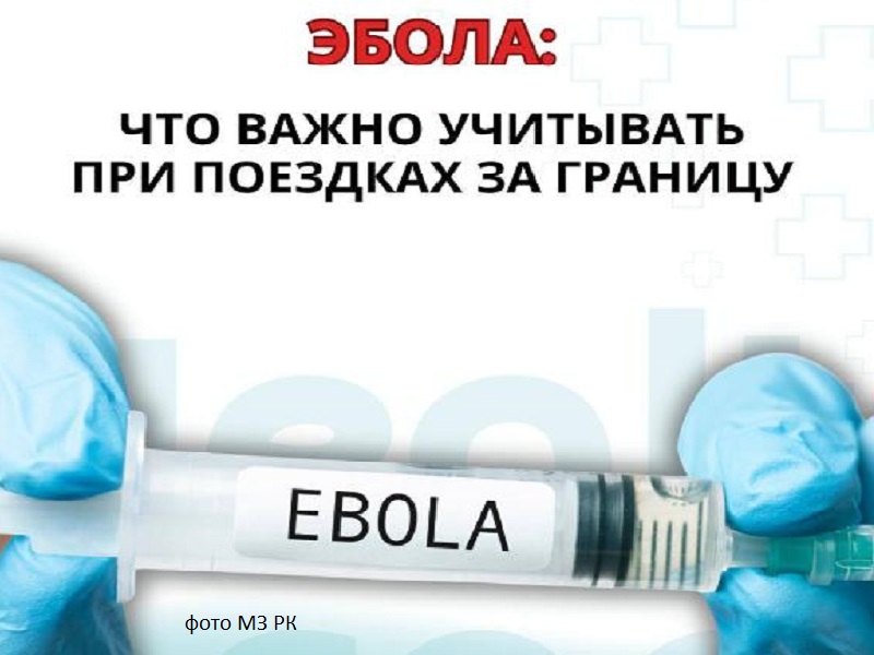 ВОЗ ввела чрезвычайное положение из-за вспышки Эболы