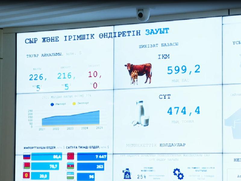 Туркестан переходит от сырья к готовой продукции с высокой добавленной стоимостью
