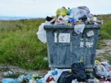 Какие штрафы грозят за загрязнение природы в Казахстане