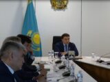 Какие новые производства откроются в Туркестанской области