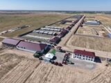 Откормочный комплекс стоимостью 1,3 млрд тенге строят в Туркестанской области