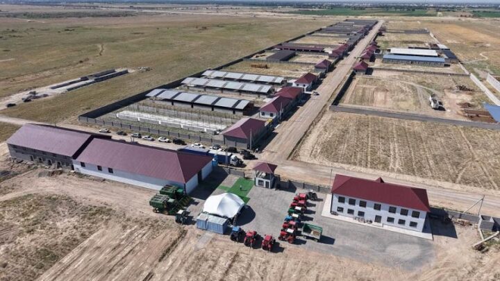 Откормочный комплекс стоимостью 1,3 млрд тенге строят в Туркестанской области