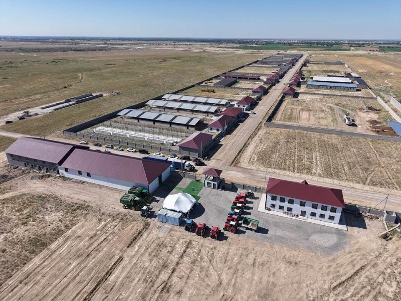 Откормочный комплекс стоимостью 1,3 млрд тенге строят в Туркестанской области