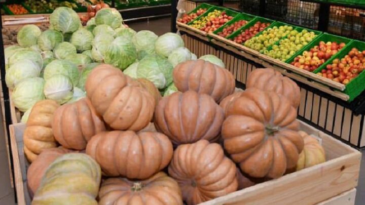 Удержать стоимость социально-значимых продуктов пытаются в Туркестанской области