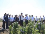 Выращивать саженцы учили аграриев на семинаре в Арыси