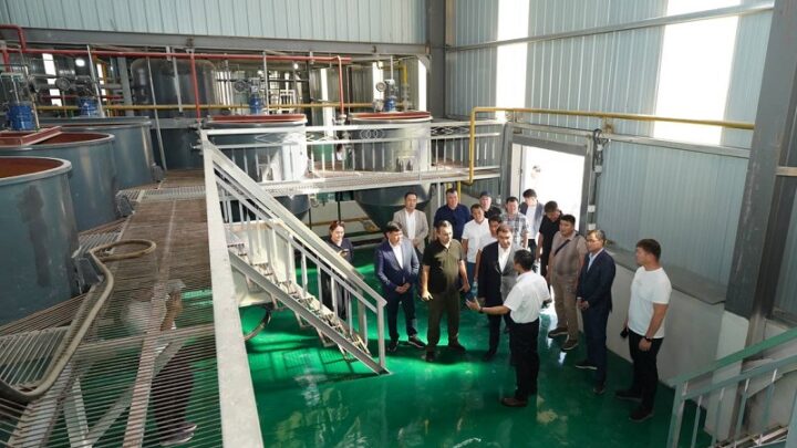 За 9 млрд тенге запустят завод по переработке костей в Туркестанской области
